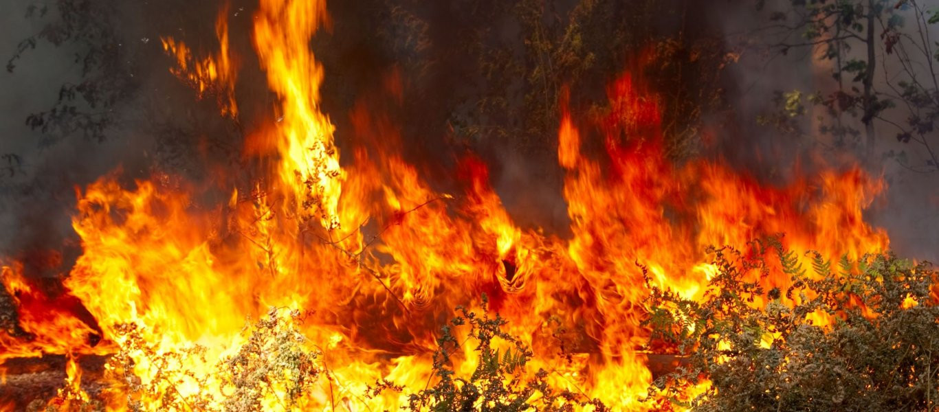 Σε εξέλιξη βρίσκεται φωτιά στην Καβάλα: Κόπηκε προληπτικά το ρεύμα